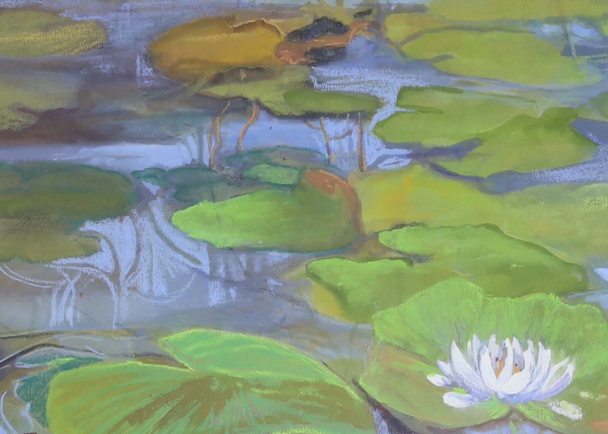 Madge Bright, three pastels, Waterlilies, signed, 24 x 34cm